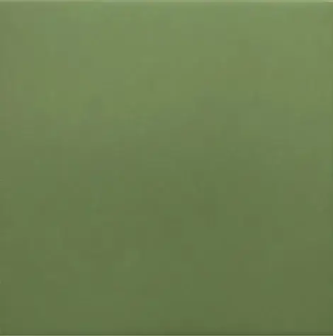 Керамогранит 30716 Rivoli Green 20x20