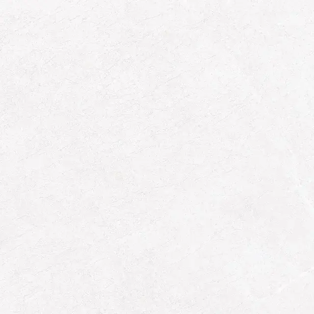 Керамогранит 28945 Alpine White SP/100X100/R 100x100