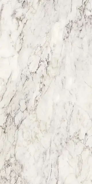 Керамогранит 274102 Breccia Capraia Lap Ret 60x120