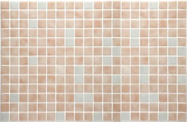 Мозаика 2514-B Safe 2.5х2.5 / 31.3х49.5