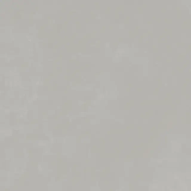 Керамогранит 25075 Planet Silver SF/60X60/C/R 60x60