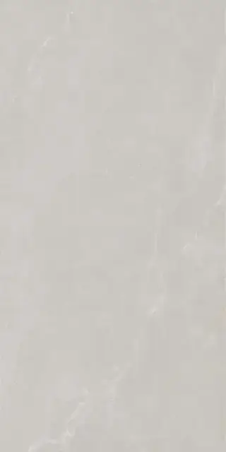 Керамогранит 199002 Noble Stone Grey Nat Ret 60х120