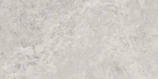 Керамогранит 141142 Mythology Regia Silver Brushed Rect 60x120