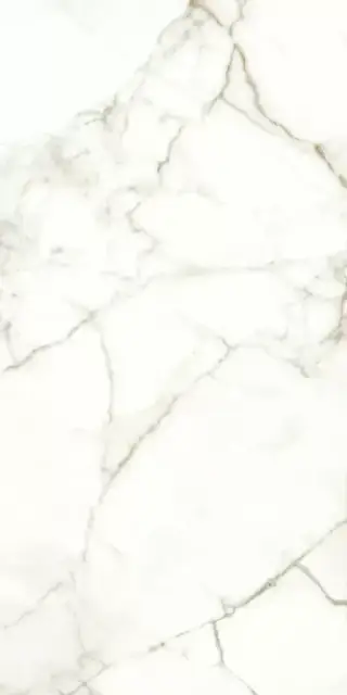 Керамогранит 117782 Emotion Levigato Rettificato 60x120