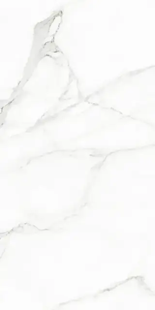 Керамогранит 117432 White Beauty Levigato Rettificato 60x120