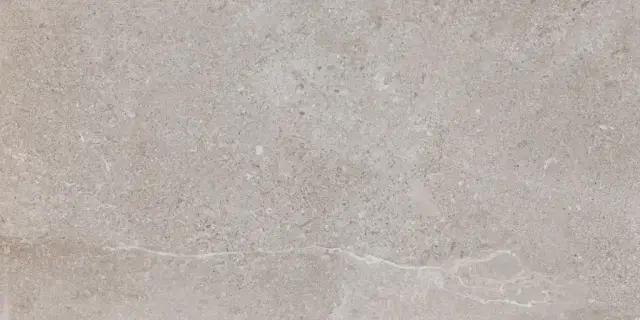 Керамогранит 050.869.0344.00714 Es.Erding Ash Luxglass 60x120