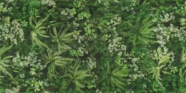 Керамогранит 0009561 SECRET GARDEN 120x280