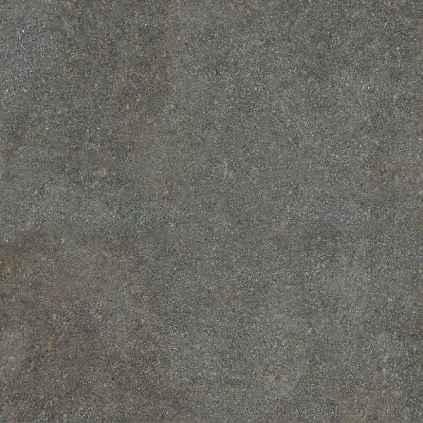 Керамогранит 0003920 Native Forest Ret 80х80