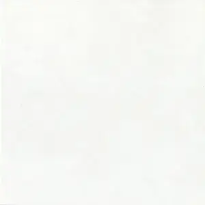 Плитка PL18 Bianco 20x20