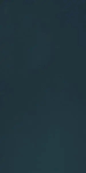 Плитка E830(D727) 4D Plain Deep Blue Matt 40х80