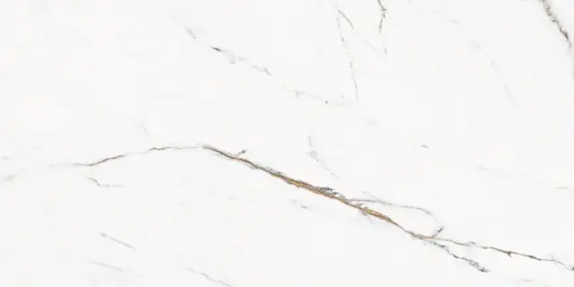 Керамогранит CR.Torano Dorado Lev 60x120