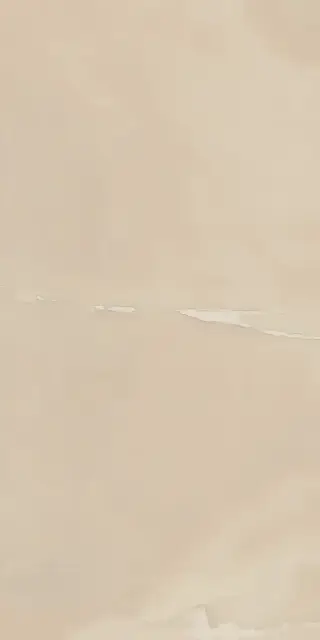 Керамогранит 610010000785 Charme Evo Onyx Nat Rett 45x90