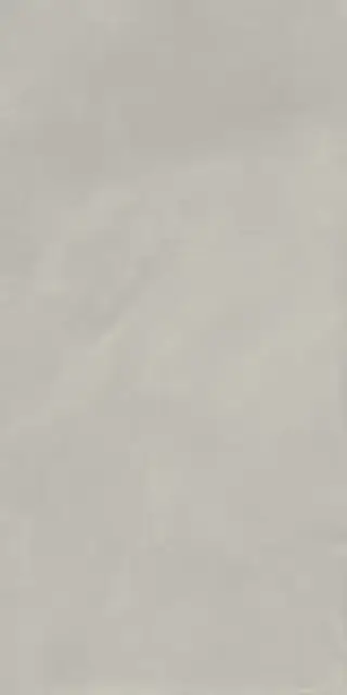 Керамогранит 610010002684 Continuum Silver 80x160