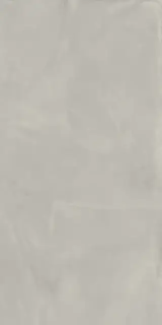 Керамогранит 610010002679 Continuum Silver 60x120