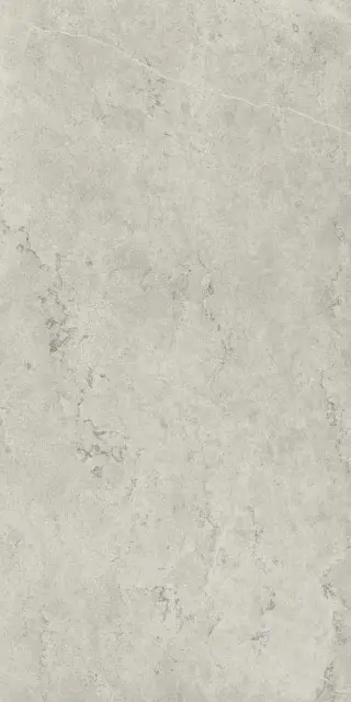 Керамогранит 610010002343 Metropolis Absolut Silver Nat Rett 80x160