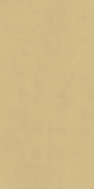 Плитка 600010002373 Surface Gold Yellow Ret 80x160