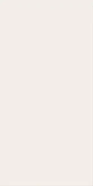 Плитка 600010002159 White Mat 40x80