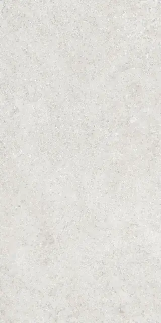 Керамогранит 36904 Cluny Silver 4D/50X100X2/A/R 50x100