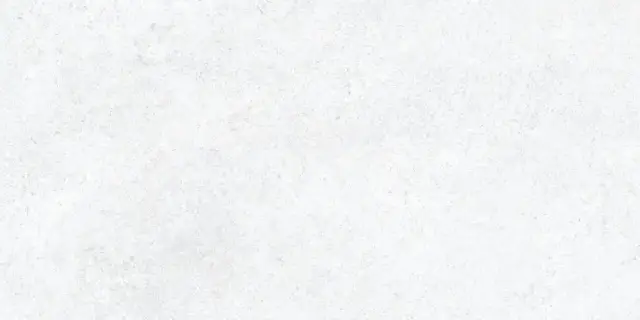 Керамогранит 36355 Cluny White AS/60X120/C/R 60x120