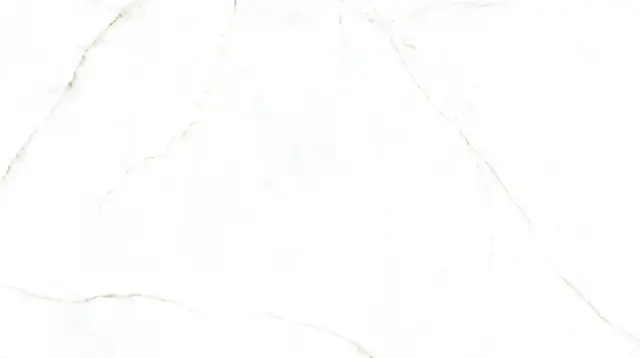 Керамогранит 31741 Dual White EP 60x120