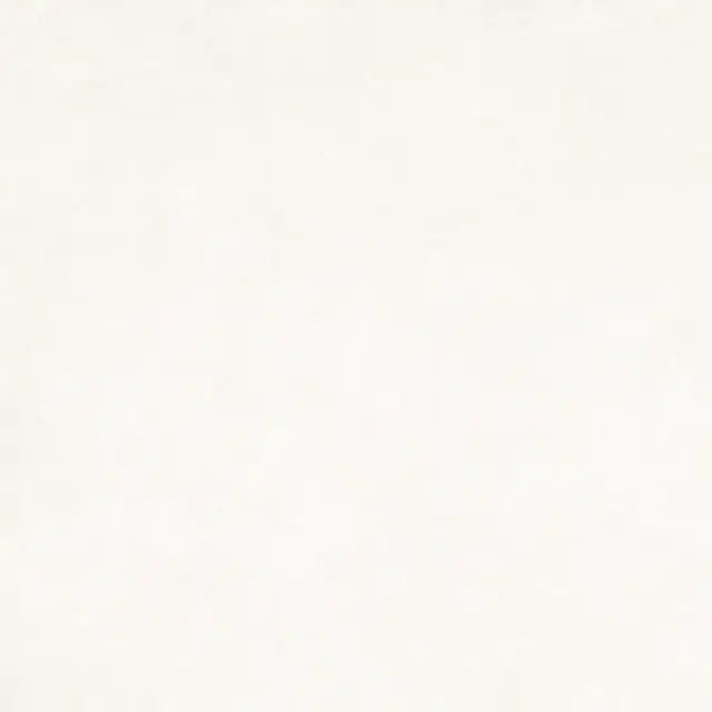 Керамогранит 24979 Ground Bone/60X60/A/R 60x60