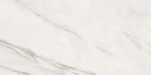 Керамогранит 188223 Calacatta Superwhite Rec 60x120