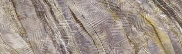 Плитка Vivid Red Louise Floret 29,75x99,55