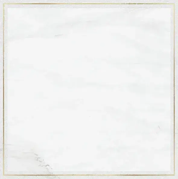 Керамогранит SRPGW Venus Dec. Solitaire Rosone Pav. Gold White 60х60