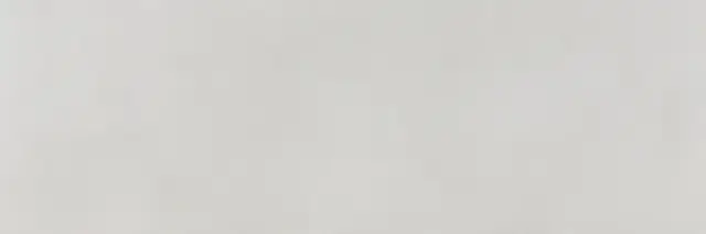 Плитка Ageri Blanco Rect. 33.3x100