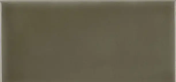 Плитка ADST1013 Liso Eucalyptus 7,3х14,8