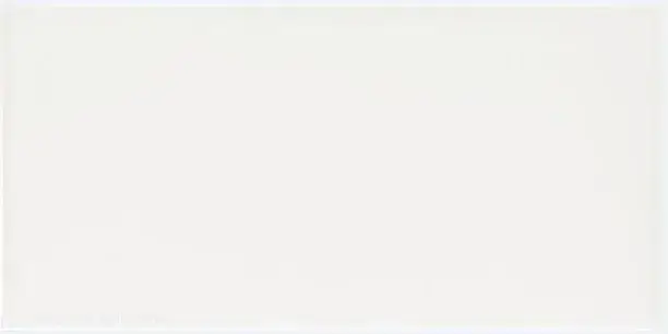 Плитка ADST1010 Liso Snow Cap 7.3х14,8