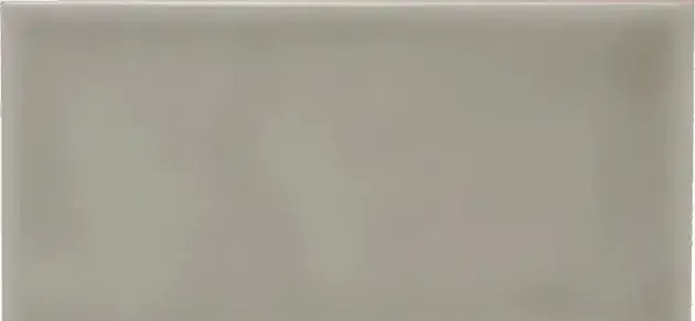 Плитка ADST1027 Liso Graystone 9,8x19,8