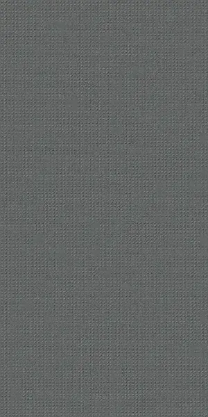 Плитка 600010002163 Room Black Texture 40x80