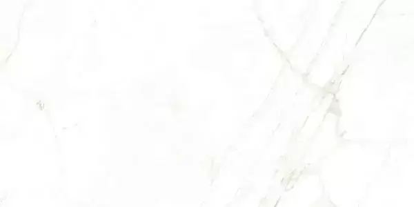 Керамогранит 31739 Dual White NT 60x120