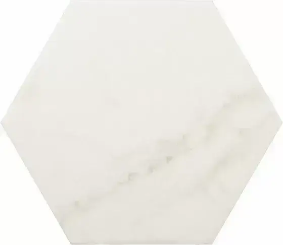 Плитка 23101 Carrara Hexagon Matt 17,5х20