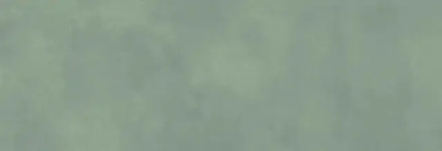 Плитка 031.627.0942.11183 Eleganza Saggio 33.3x100