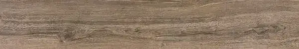 Керамогранит 017.871.0109.09741 Rovere Brown 20x120