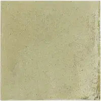Керамогранит 30820 Raku Sage 10x10