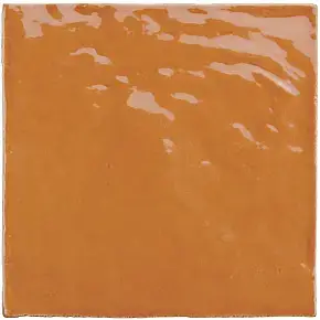 Ginger 25857