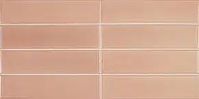 Плитка 27536 LIMIT ROSE 6x24.6