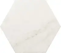 Плитка 23101 Carrara Hexagon Matt 17,5х20