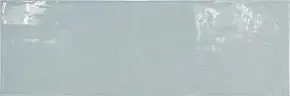 Ash Blue 21551