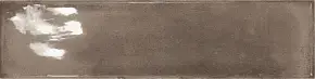 Brown 23964