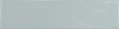 Ash Blue 22051