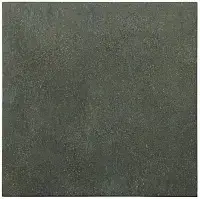 Forest 31377