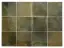 equipe-hanoi-wild-olive-10x10.webp