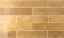 equipe-tribeca-pollen.webp