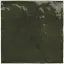 equipe-la-riviera-botanical-green-132x132.webp