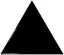 equipe-scale-23821-triangolo-black.webp