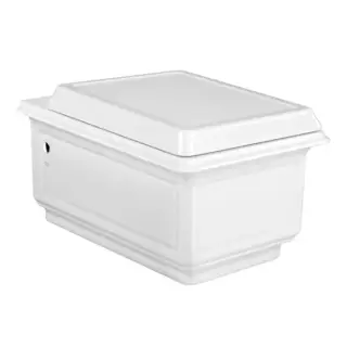 Gessi Eleganza Унитаз подвесной 39.1х50.8см, в комплекте с сиденьем Soft Close и сифоном, цвет: белый